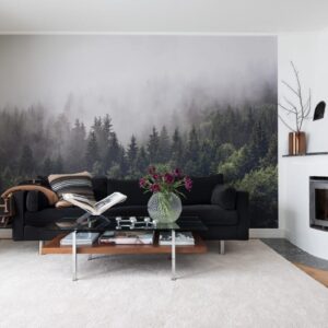 Fototapet Misty Fir Forest